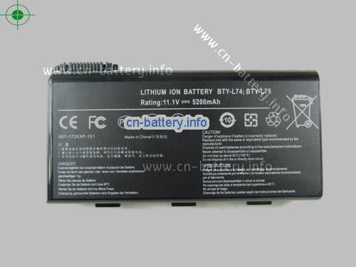 11.1V MSI BTYL74 电池 5200mAh